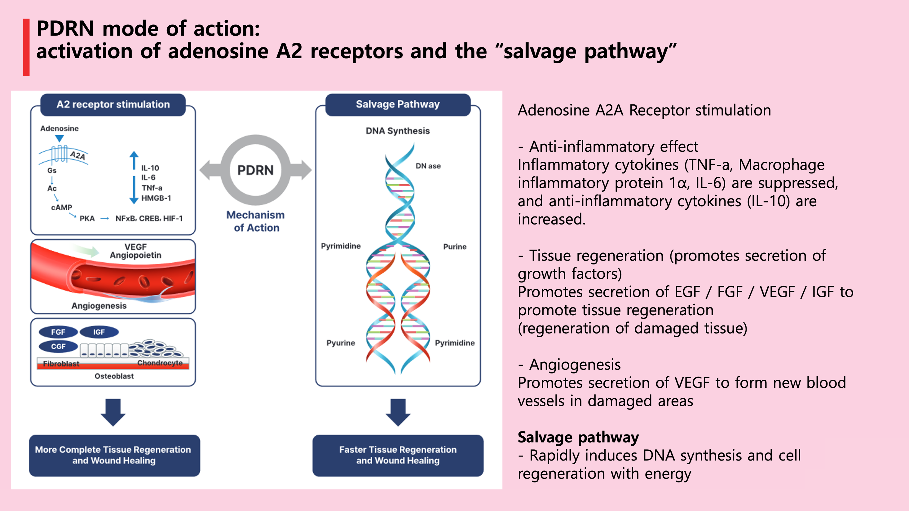 metin, ekran görüntüsü, yazı tipi, tasarım içeren bir resimYapay zeka tarafından oluşturulmuş içerik yanlış olabilir.